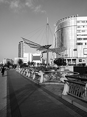 平果公司注册